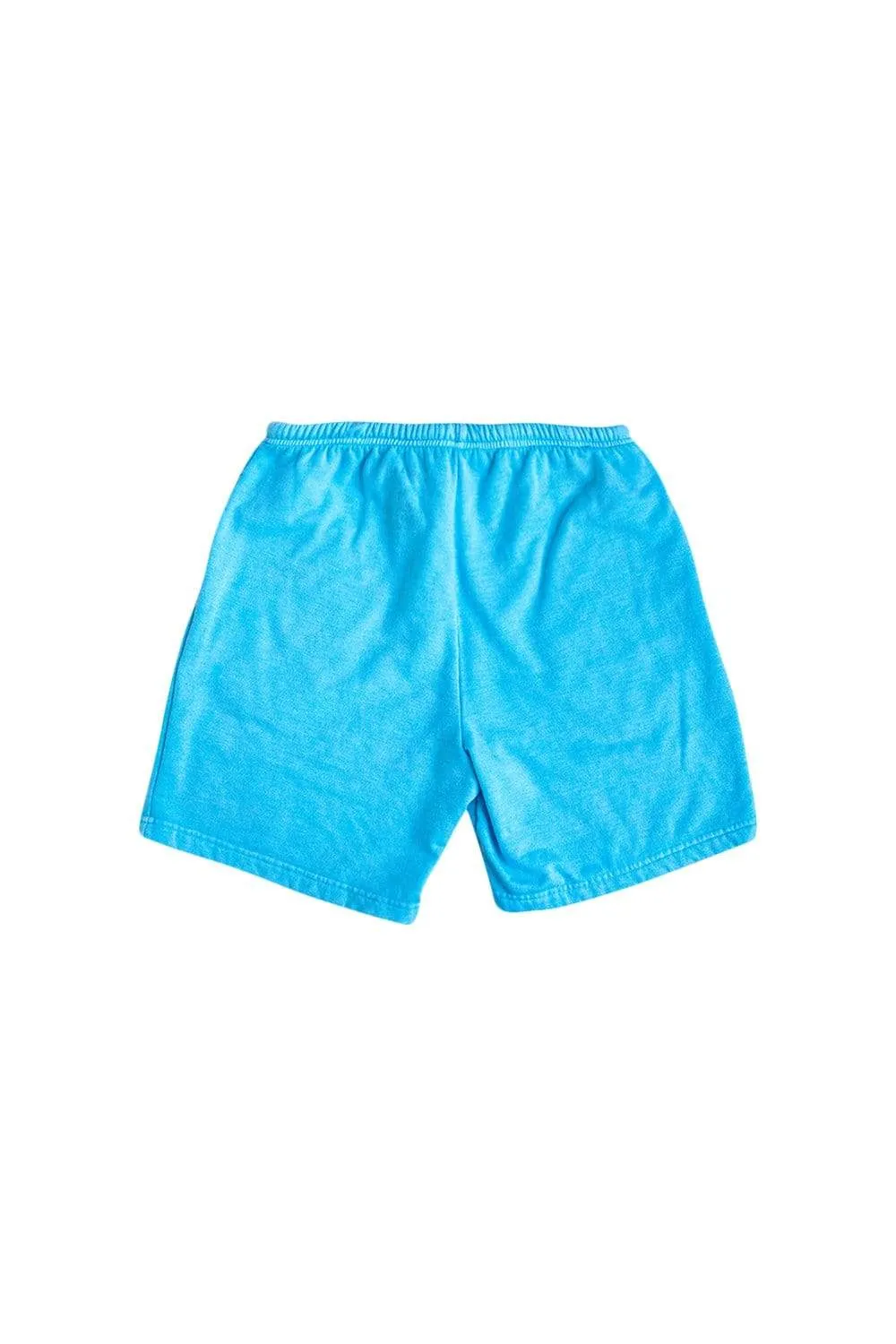 David Dobrik Pigment Blue Shorts