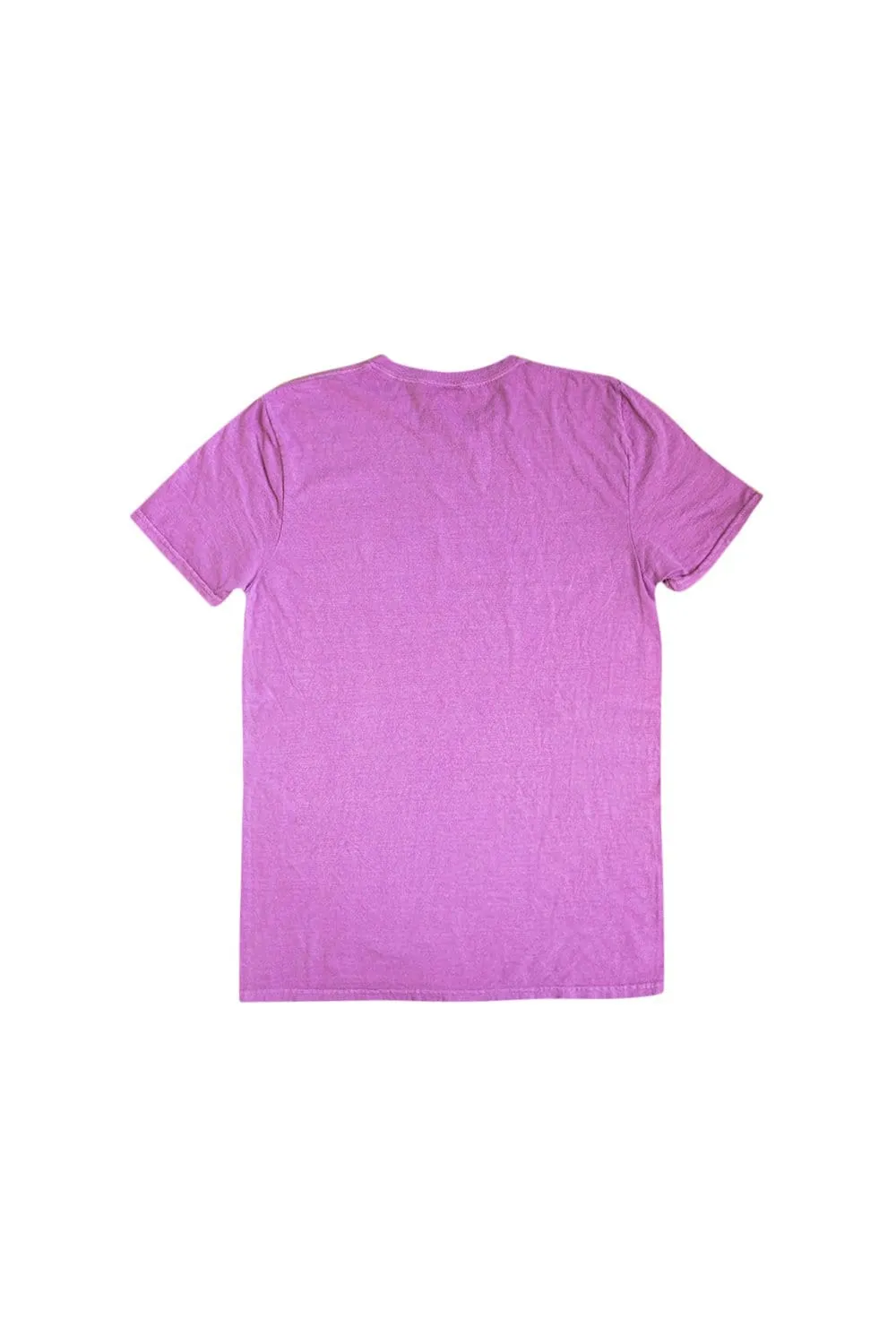 David Dobrik Pigment Purple Shirt