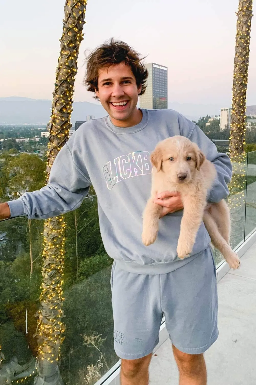 David Dobrik Stone Gray Iridescent Crewneck