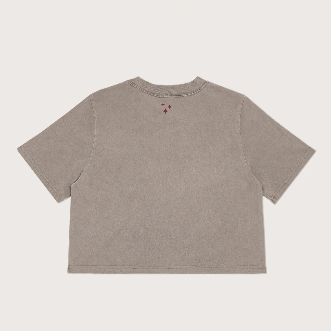 Lazo Crop Tee with Classic Logo - Gray