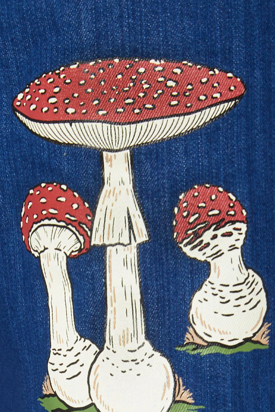 Mushroom Variety Jeans